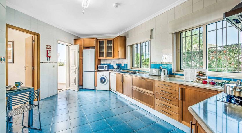 Photo of Sunshine Yellows