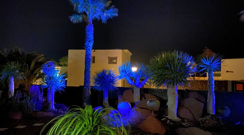 Photo of Volcanic Stone