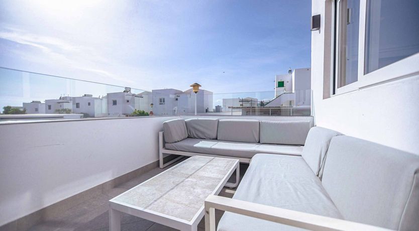 Photo of Canary Wish