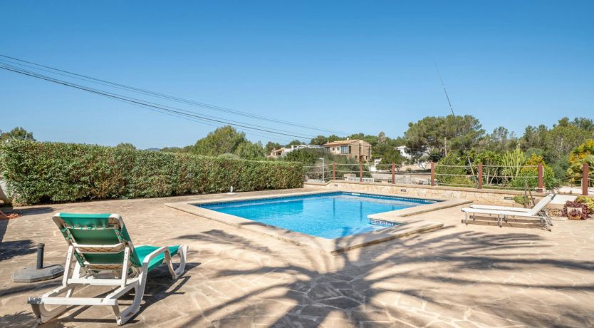 Photo of Mosaic & Moss