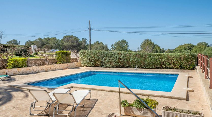 Photo of Mosaic & Moss