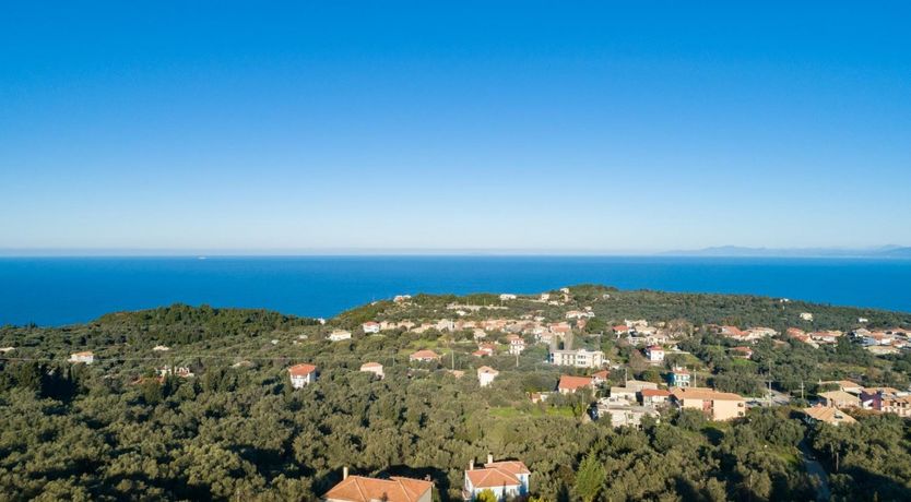 Photo of Olive Sunrise