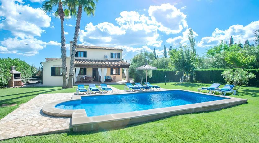 Photo of A Green Classic