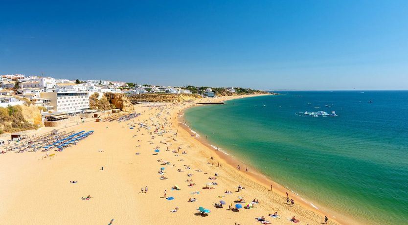 Photo of The Delightful