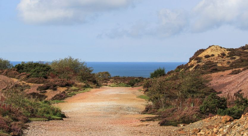 Photo of The Hawthorns