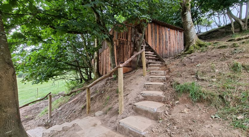 Photo of Tree House