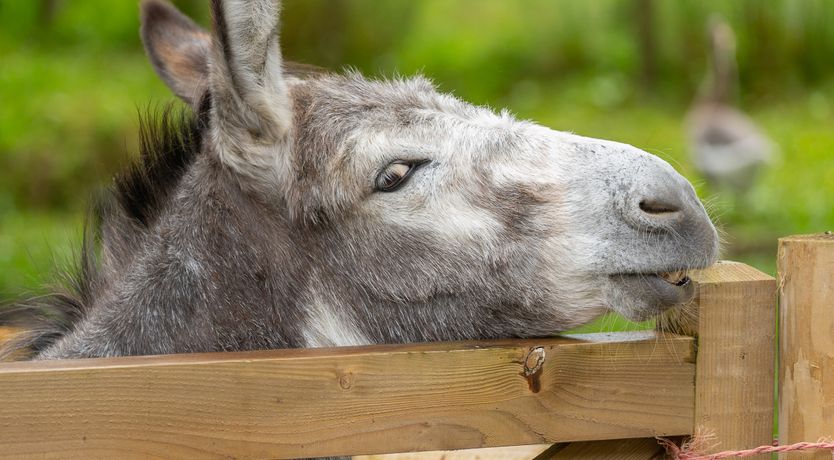 Photo of The Threshing Barn