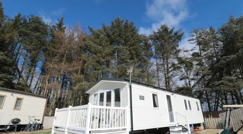 Photo of Daisy's Retreat