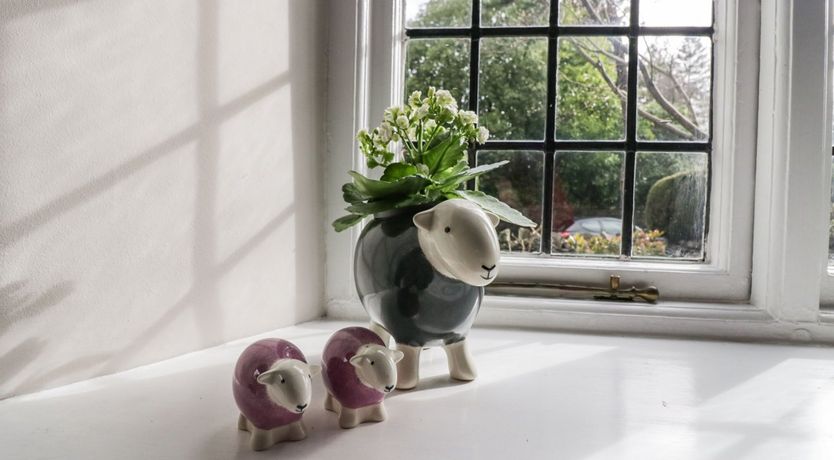 Photo of Connie's Cottage