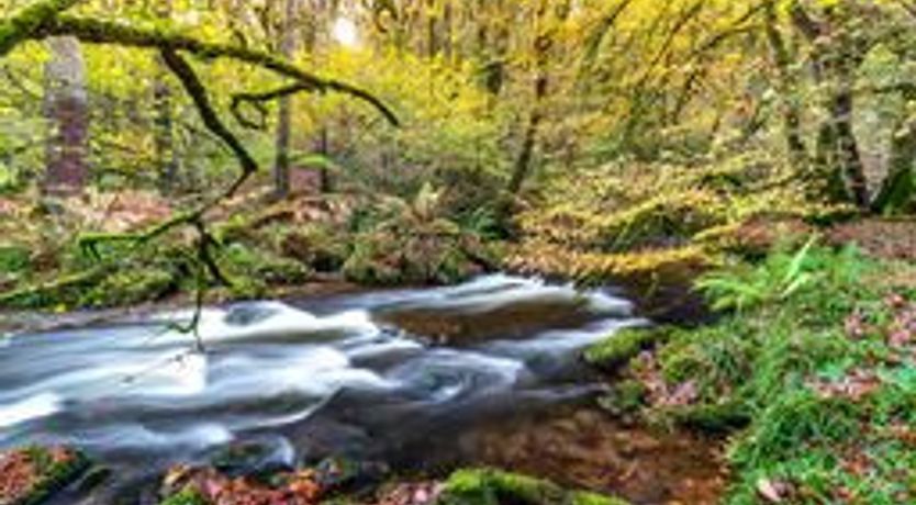 Photo of West Hollowcombe Farm 