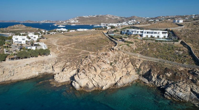 Photo of The Blue Garden