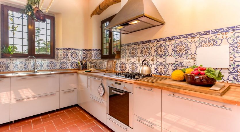 Photo of The Grapes of Violetta