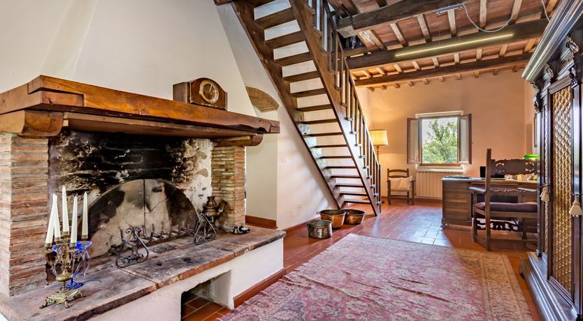 Photo of The Grapes of Violetta