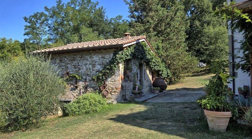 Photo of The Grapes of Violetta