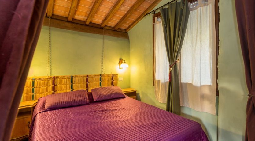 Photo of The Grapes of Violetta