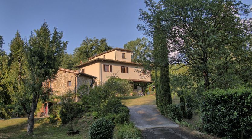 Photo of The Grapes of Violetta