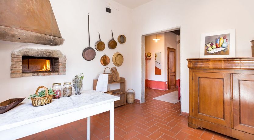 Photo of The Grapes of Violetta