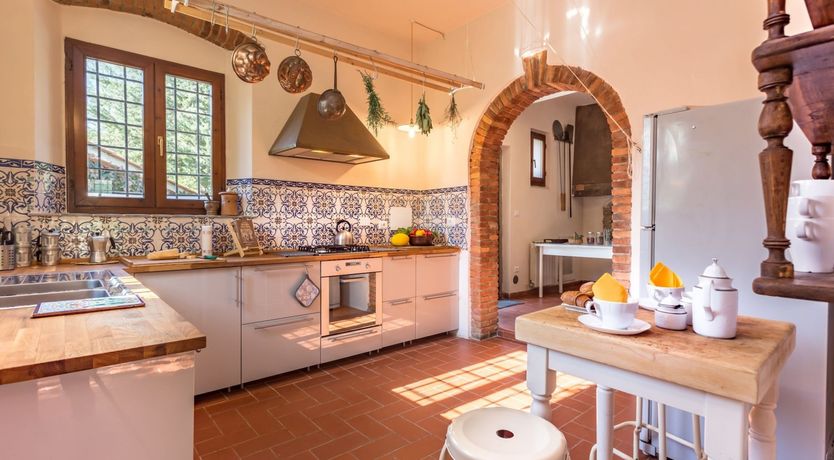 Photo of The Grapes of Violetta