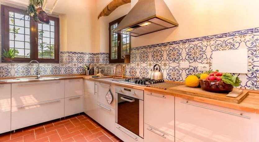 Photo of The Grapes of Violetta