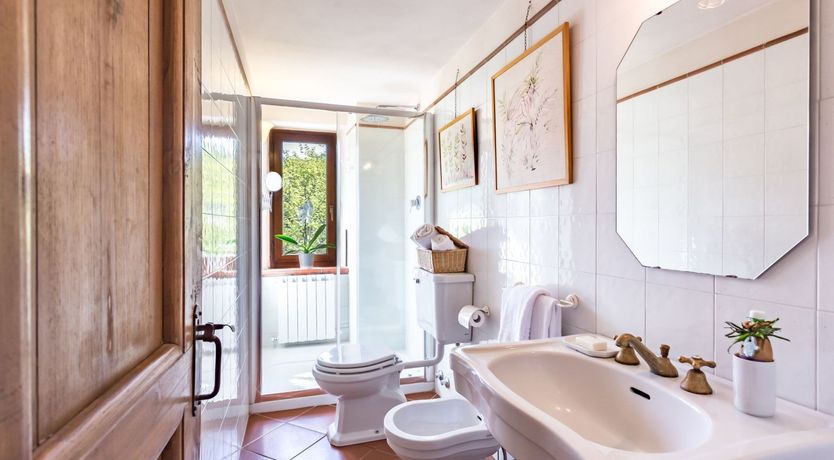 Photo of The Grapes of Violetta