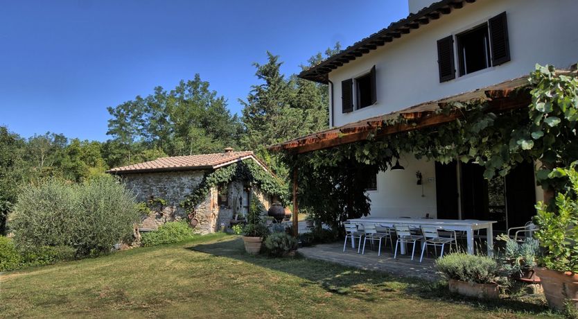 Photo of The Grapes of Violetta