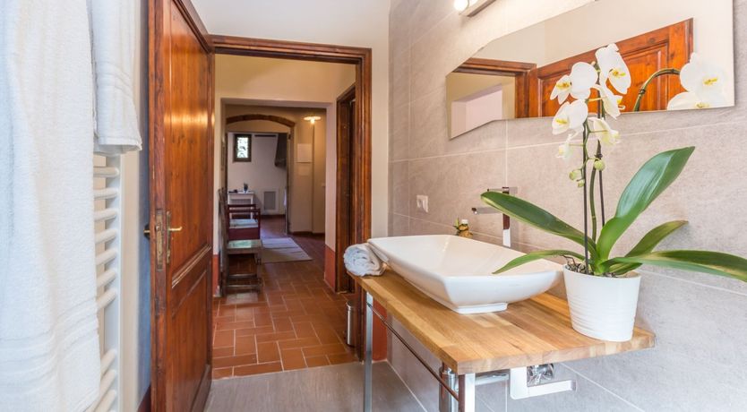 Photo of The Grapes of Violetta