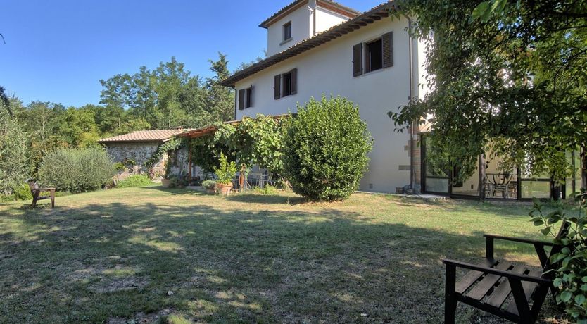 Photo of The Grapes of Violetta