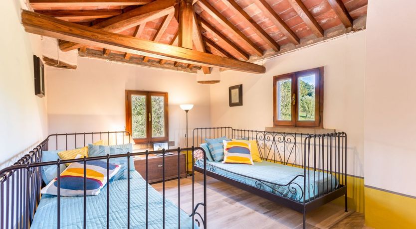 Photo of The Grapes of Violetta