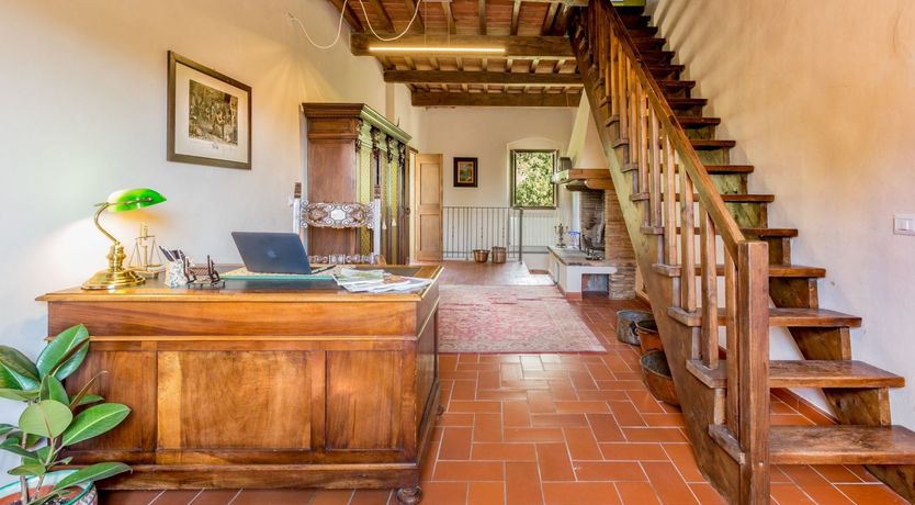 Photo of The Grapes of Violetta