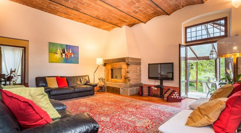 Photo of The Grapes of Violetta