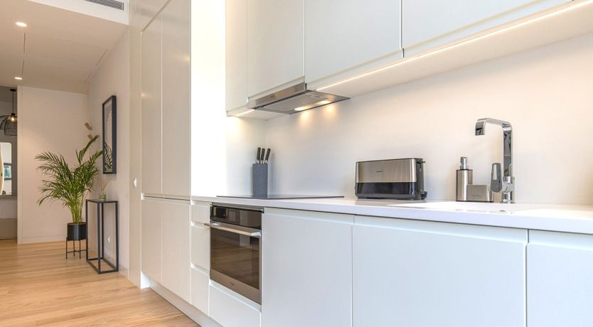 Photo of The Latin Words