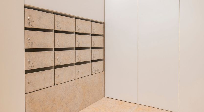 Photo of The Latin Words