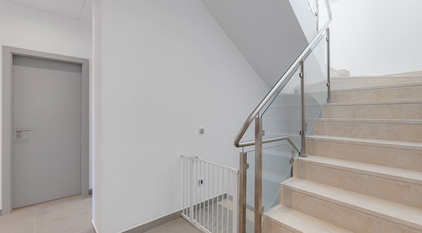 Photo of Sugar & Sunlight