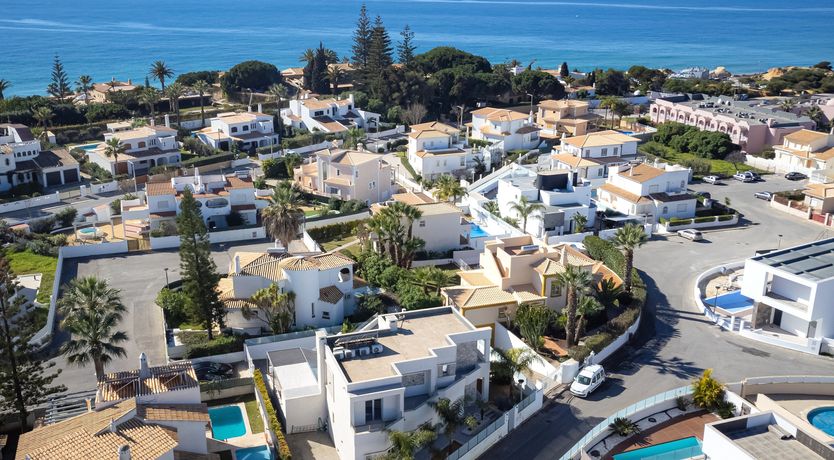 Photo of Sugar & Sunlight