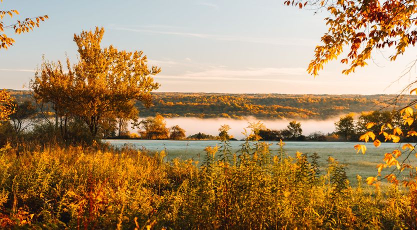 Photo of Hickory Tree Hideaway