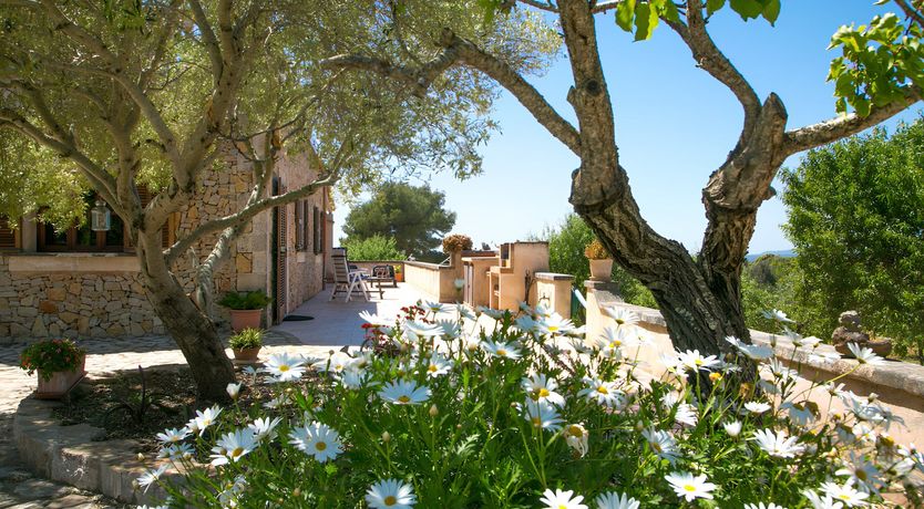 Photo of Views from the Top