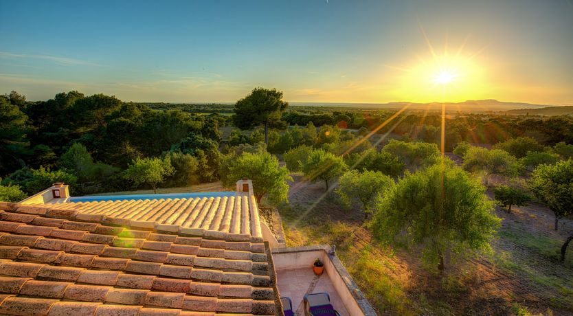 Photo of Views from the Top