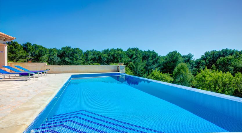 Photo of Views from the Top