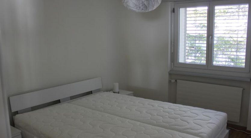 Photo of Pardi 3 Simeon