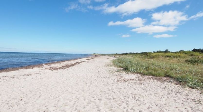 Photo of "Elisej" - 100m from the sea