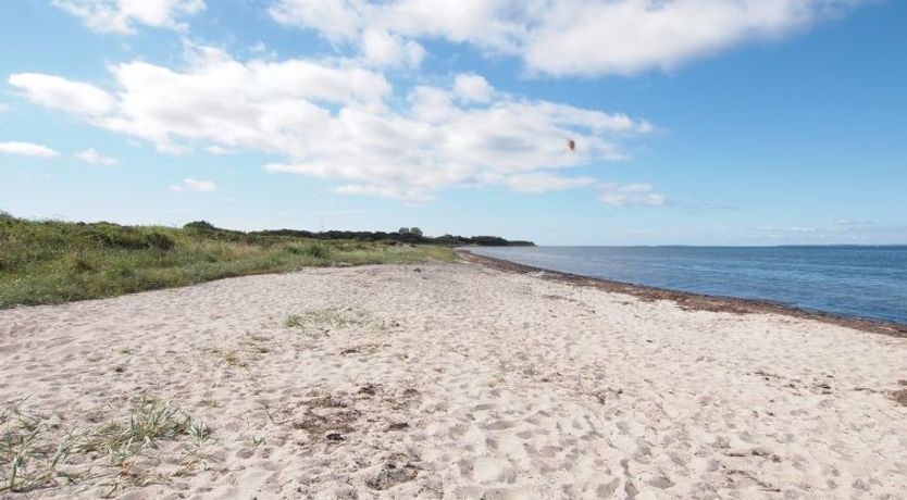 Photo of "Elisej" - 100m from the sea