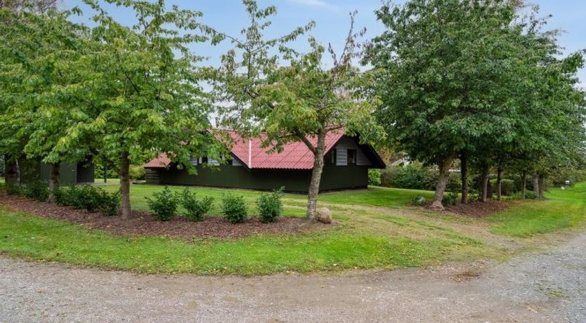 Photo of "Elisej" - 100m from the sea