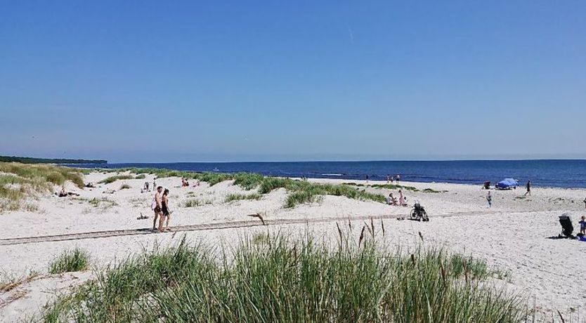 Photo of "Zeytun" - 800m from the sea