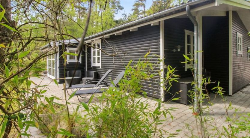 Photo of "Zeytun" - 800m from the sea