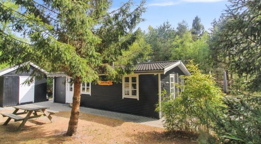 Photo of "Zeytun" - 800m from the sea