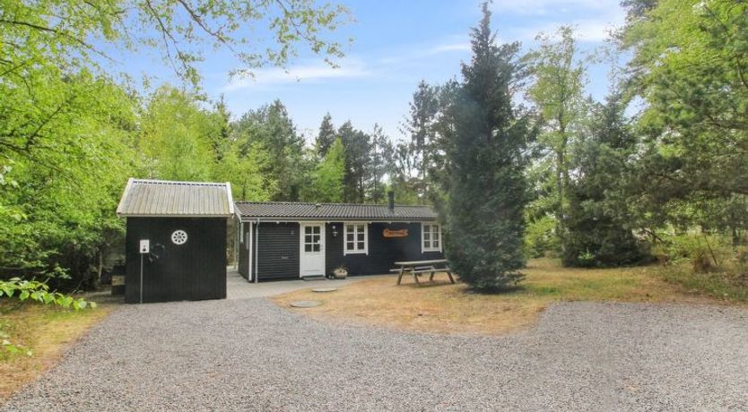 Photo of "Zeytun" - 800m from the sea