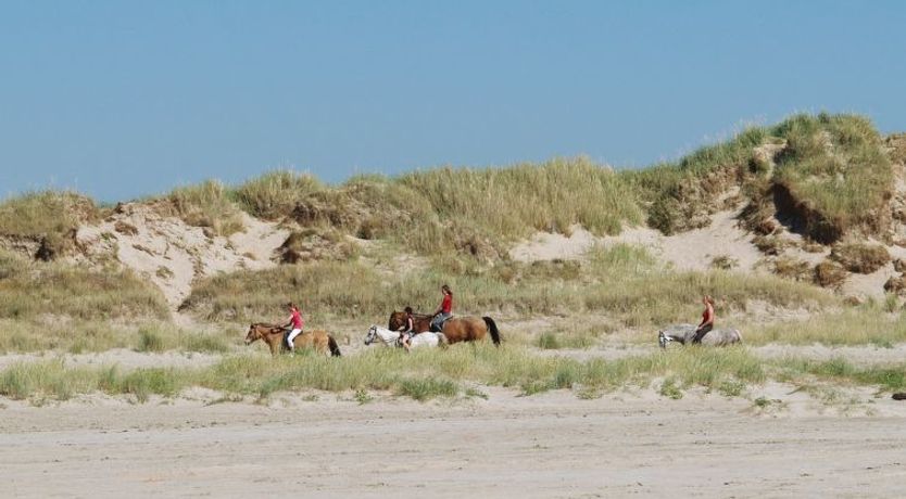 Photo of "Faidra" - 2.5km from the sea