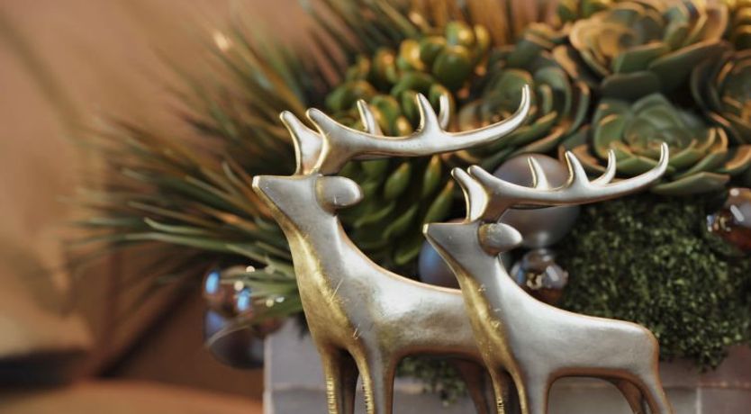 Photo of #1a mit Sauna & Pool Apartment 3