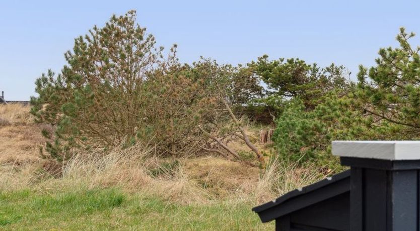 Photo of "Siri" - 400m from the sea