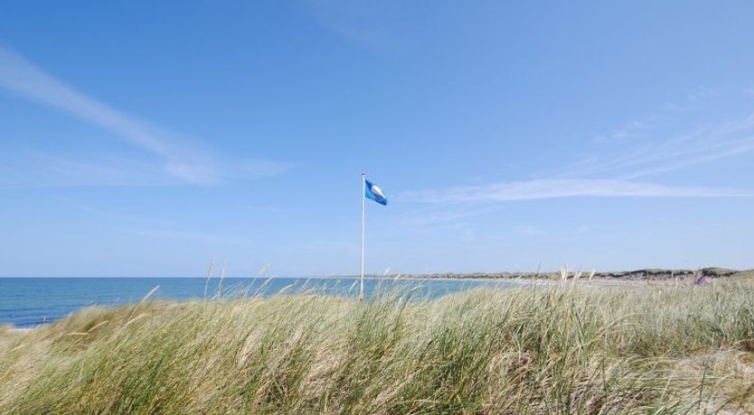 Photo of "Siri" - 400m from the sea